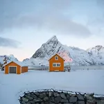 The Famous Yellow House