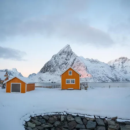 The Famous Yellow House