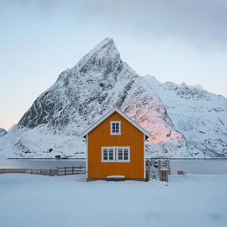 The Famous Yellow House *