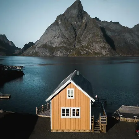 The Famous Yellow House * Reine