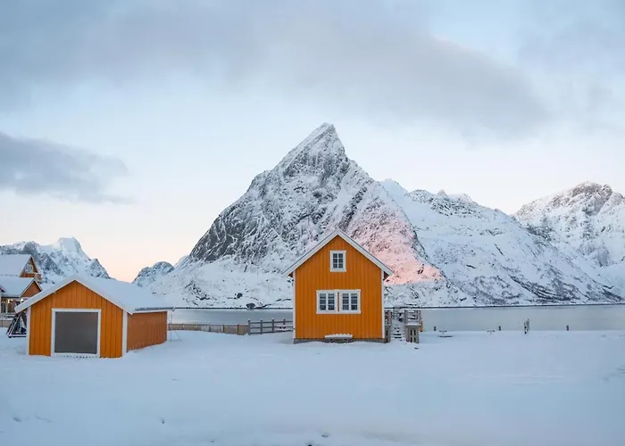 The Famous Yellow House