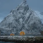 The Famous Yellow House * Рейне