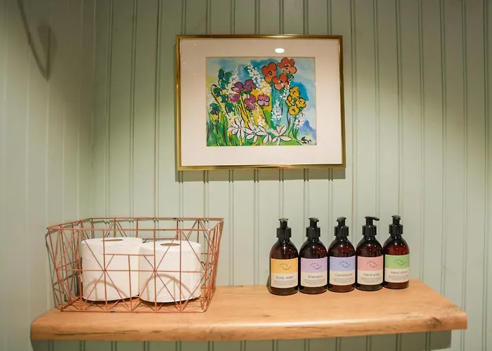 The Famous Yellow House * Reine